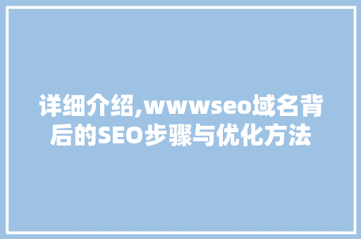 详细介绍,wwwseo域名背后的SEO步骤与优化方法