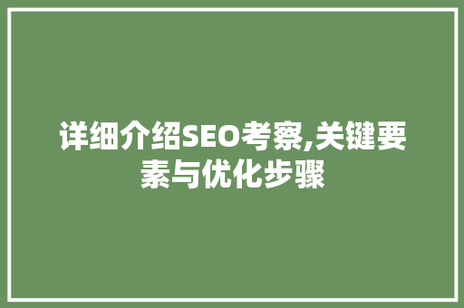 详细介绍SEO考察,关键要素与优化步骤