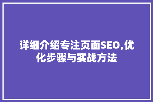 详细介绍专注页面SEO,优化步骤与实战方法