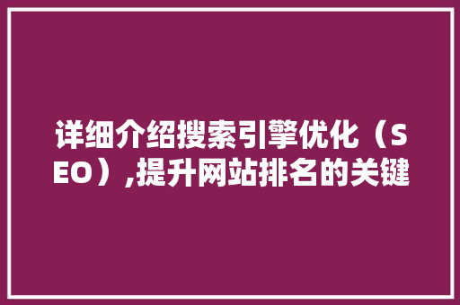 详细介绍搜索引擎优化（SEO）,提升网站排名的关键步骤