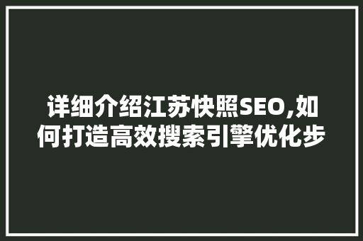 详细介绍江苏快照SEO,如何打造高效搜索引擎优化步骤