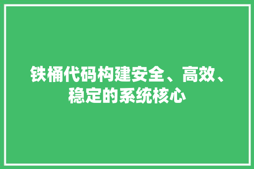 铁桶代码构建安全、高效、稳定的系统核心