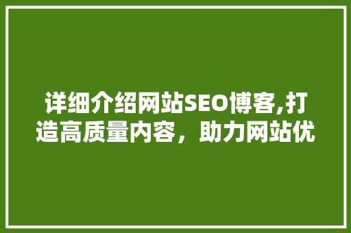 详细介绍网站SEO博客,打造高质量内容，助力网站优化