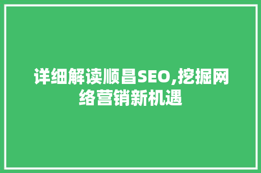 详细解读顺昌SEO,挖掘网络营销新机遇