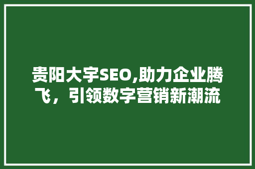 贵阳大宇SEO,助力企业腾飞，引领数字营销新潮流