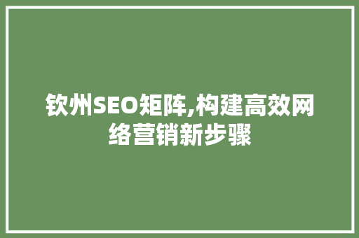 钦州SEO矩阵,构建高效网络营销新步骤