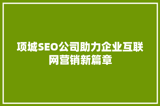 项城SEO公司助力企业互联网营销新篇章
