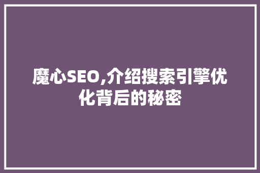 魔心SEO,介绍搜索引擎优化背后的秘密
