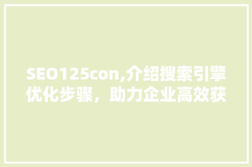 SEO125con,介绍搜索引擎优化步骤，助力企业高效获取流量