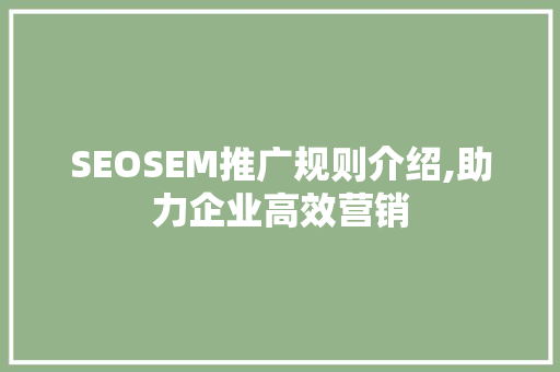 SEOSEM推广规则介绍,助力企业高效营销
