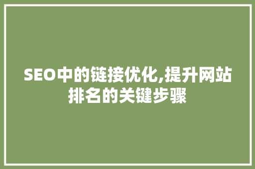 SEO中的链接优化,提升网站排名的关键步骤