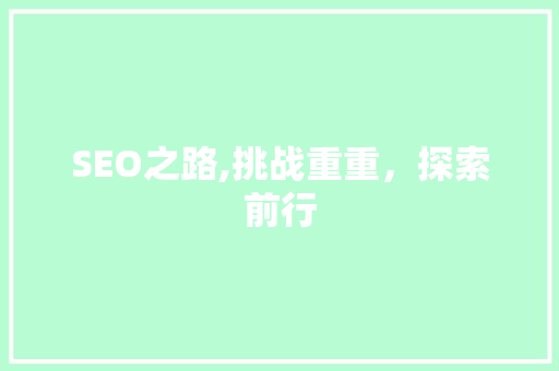 SEO之路,挑战重重，探索前行