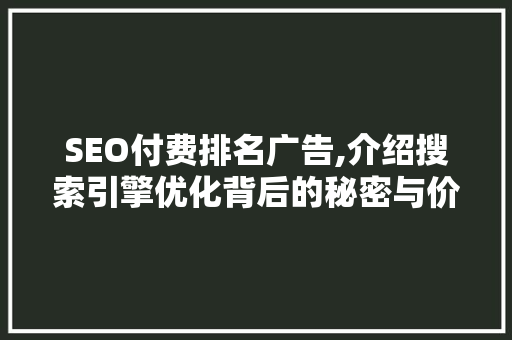 SEO付费排名广告,介绍搜索引擎优化背后的秘密与价值