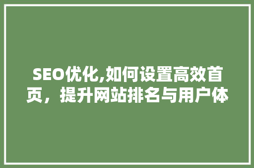 SEO优化,如何设置高效首页，提升网站排名与用户体验