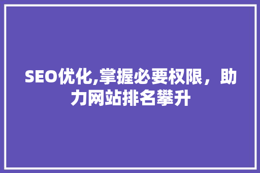 SEO优化,掌握必要权限，助力网站排名攀升