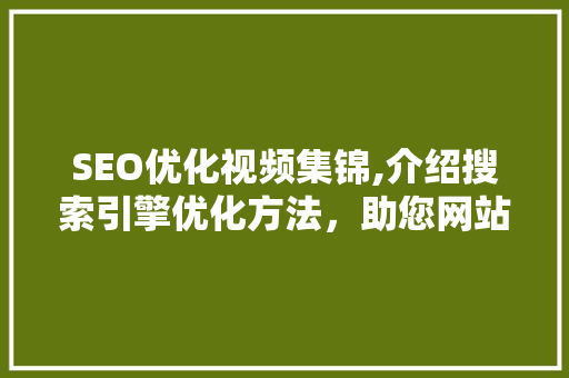 SEO优化视频集锦,介绍搜索引擎优化方法，助您网站脱颖而出
