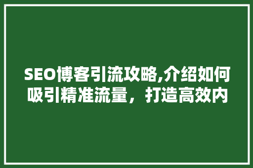SEO博客引流攻略,介绍如何吸引精准流量，打造高效内容营销步骤