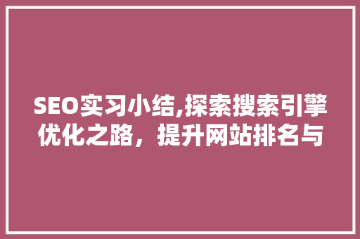 SEO实习小结,探索搜索引擎优化之路，提升网站排名与用户体验