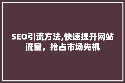 SEO引流方法,快速提升网站流量，抢占市场先机