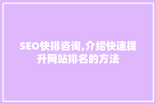 SEO快排咨询,介绍快速提升网站排名的方法