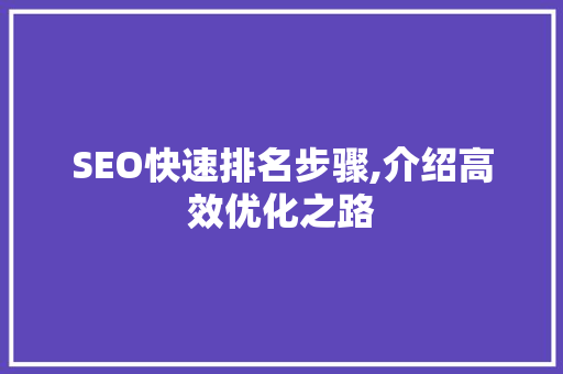 SEO快速排名步骤,介绍高效优化之路