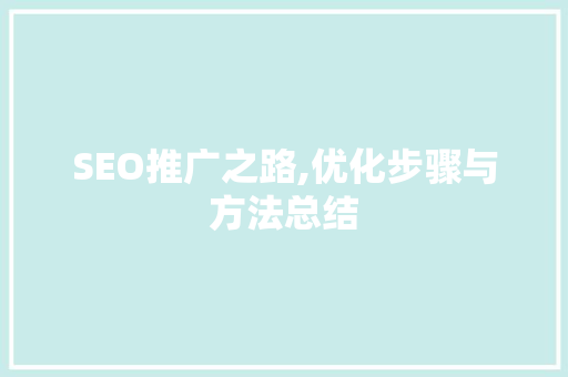 SEO推广之路,优化步骤与方法总结