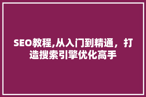 SEO教程,从入门到精通，打造搜索引擎优化高手