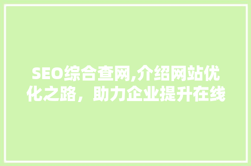 SEO综合查网,介绍网站优化之路，助力企业提升在线竞争力