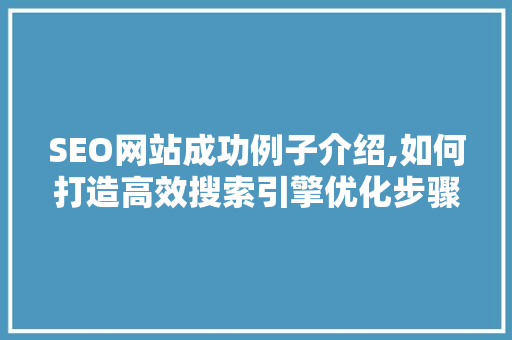SEO网站成功例子介绍,如何打造高效搜索引擎优化步骤