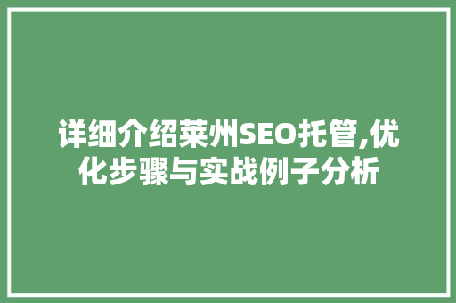 详细介绍莱州SEO托管,优化步骤与实战例子分析