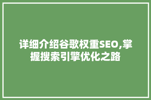 详细介绍谷歌权重SEO,掌握搜索引擎优化之路