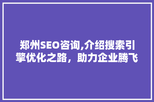 郑州SEO咨询,介绍搜索引擎优化之路，助力企业腾飞
