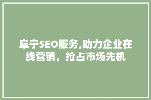 阜宁SEO服务,助力企业在线营销，抢占市场先机