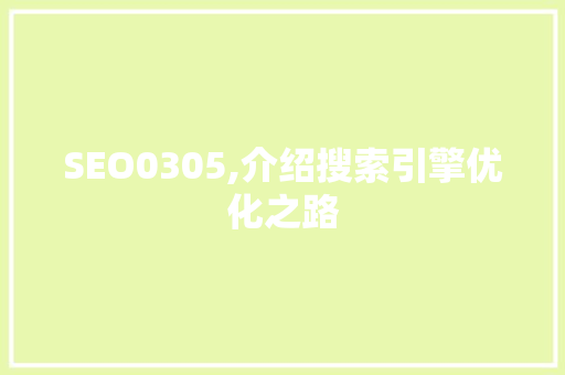 SEO0305,介绍搜索引擎优化之路