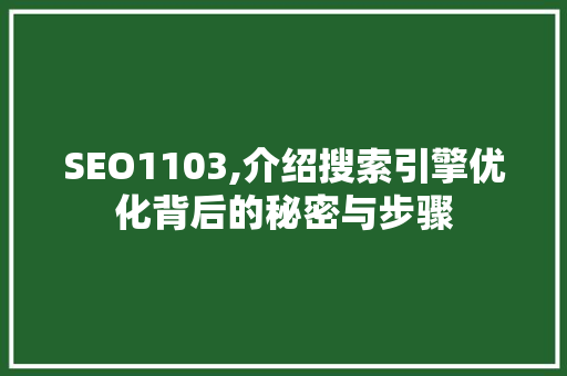 SEO1103,介绍搜索引擎优化背后的秘密与步骤