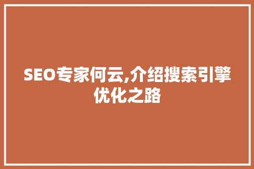 SEO专家何云,介绍搜索引擎优化之路