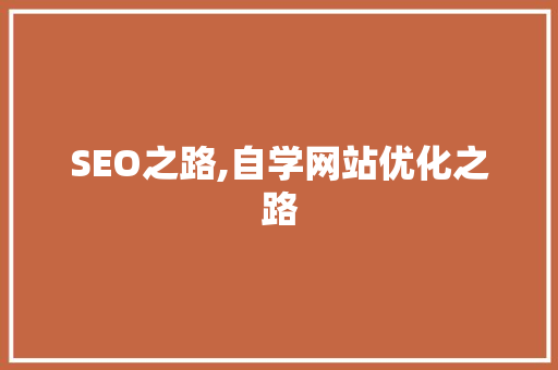 SEO之路,自学网站优化之路