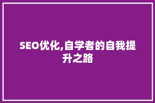 SEO优化,自学者的自我提升之路
