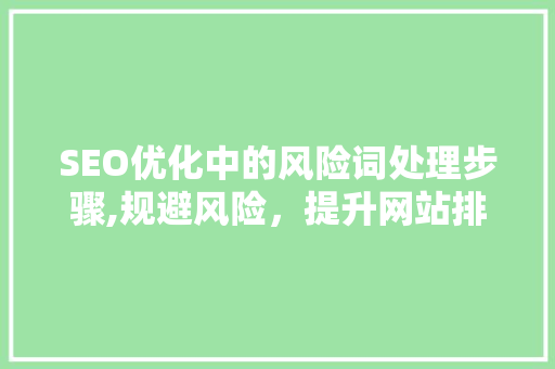 SEO优化中的风险词处理步骤,规避风险，提升网站排名
