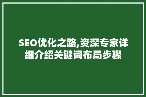 SEO优化之路,资深专家详细介绍关键词布局步骤