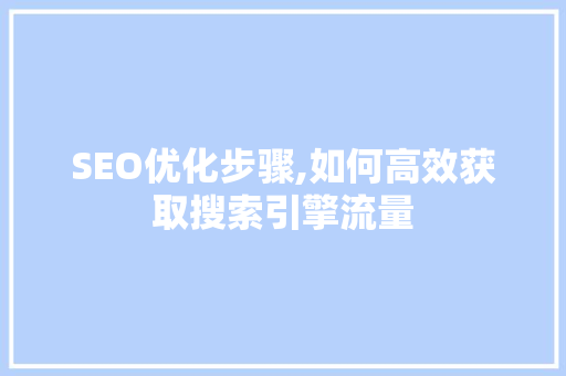 SEO优化步骤,如何高效获取搜索引擎流量