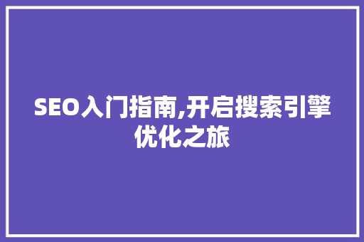SEO入门指南,开启搜索引擎优化之旅