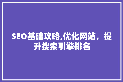 SEO基础攻略,优化网站，提升搜索引擎排名