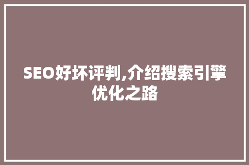 SEO好坏评判,介绍搜索引擎优化之路