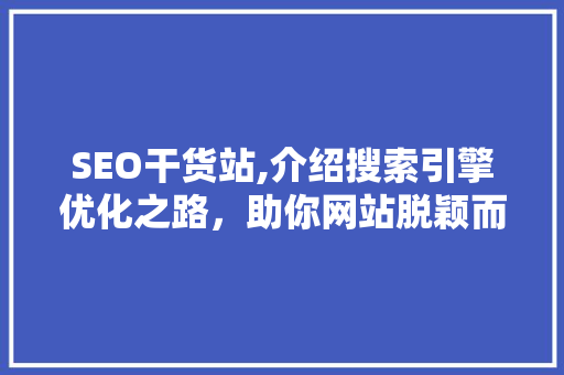 SEO干货站,介绍搜索引擎优化之路，助你网站脱颖而出