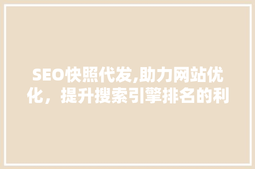 SEO快照代发,助力网站优化，提升搜索引擎排名的利器