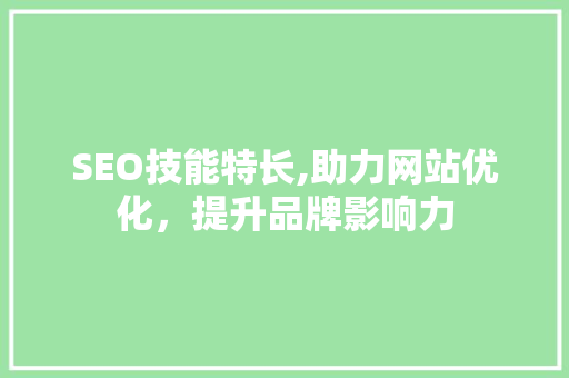 SEO技能特长,助力网站优化，提升品牌影响力