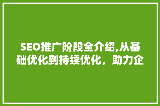 SEO推广阶段全介绍,从基础优化到持续优化，助力企业网站脱颖而出