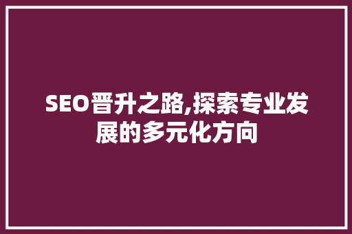 SEO晋升之路,探索专业发展的多元化方向