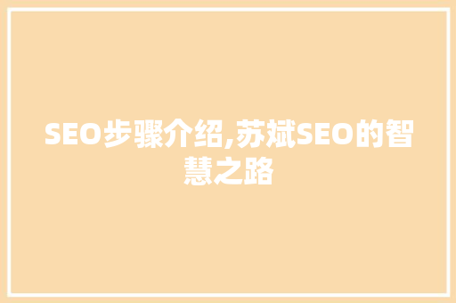 SEO步骤介绍,苏斌SEO的智慧之路